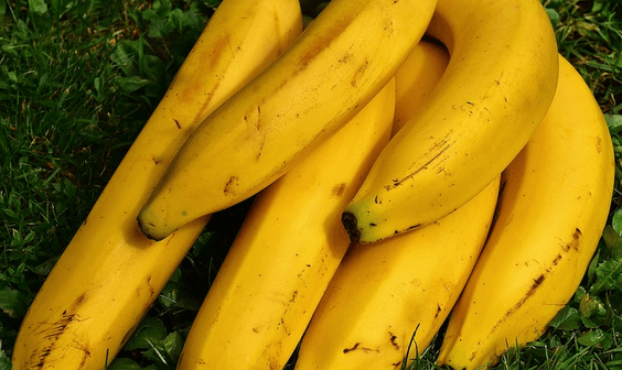 cara hamil anak laki laki