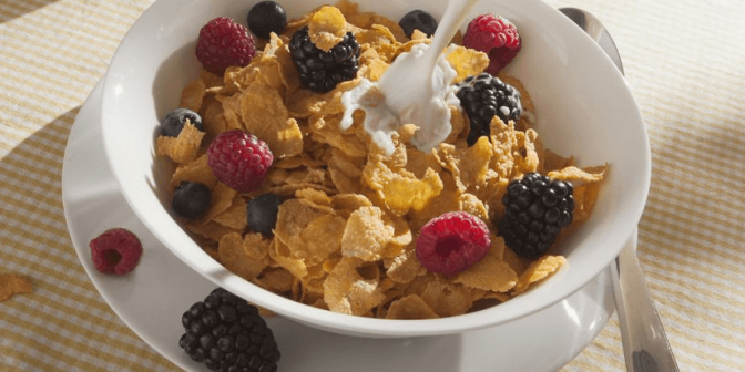 makanan sehat ibu pascapersalinan