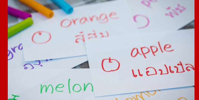 aplikasi belajar bahasa thailand