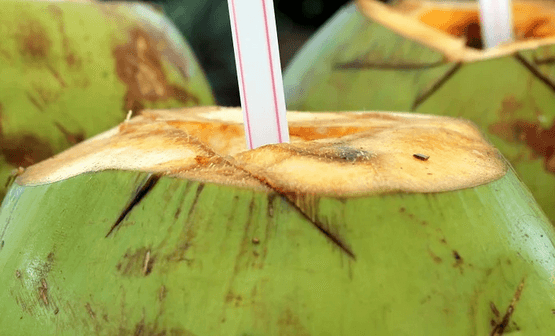 minuman untuk ibu hamil