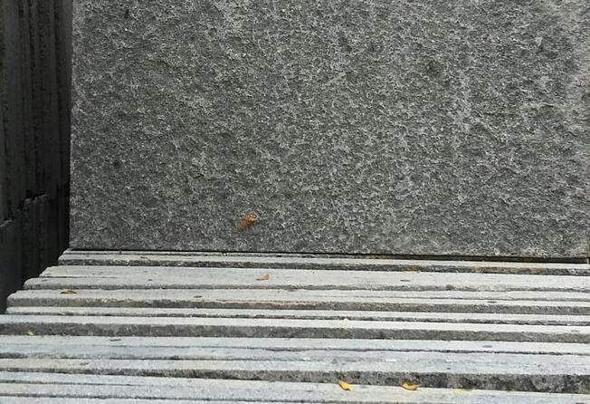 jenis decking kolam renang batu andesit
