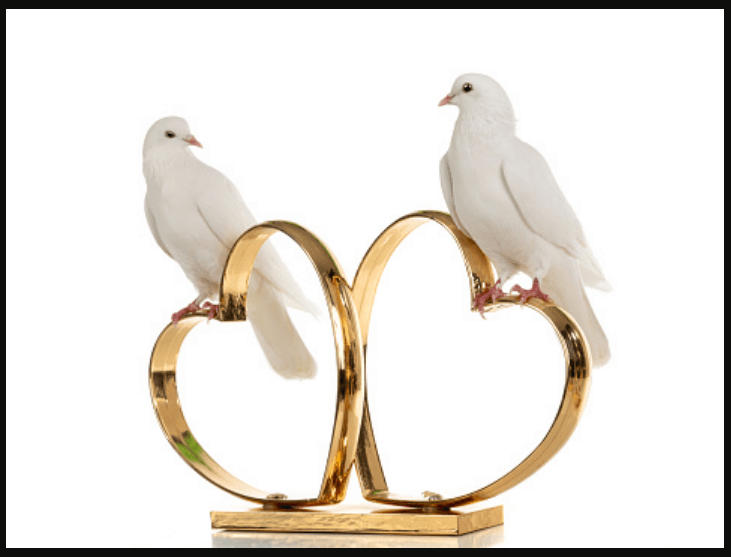 Kado untuk Guru Yang Menikah