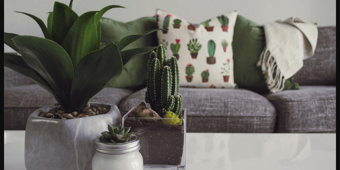 Kado Untuk Guru Wanita