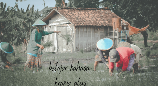 belajar bahasa jawa krama alus