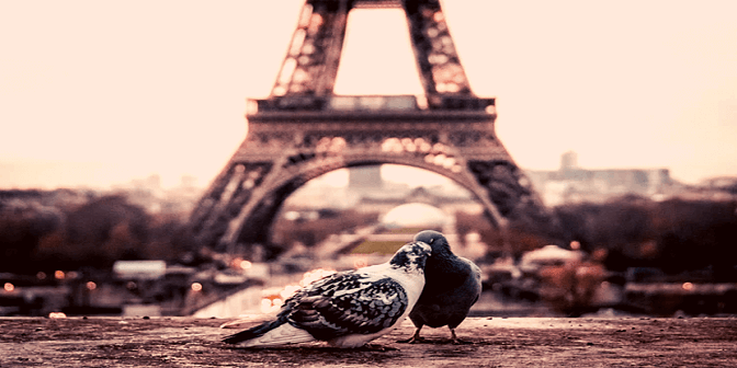 belajar bahasa prancis