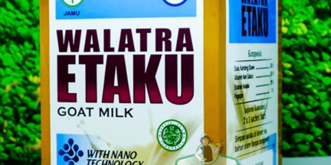 susu kambing untuk penderita kolesterol tinggi