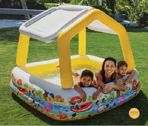 Intex Sun Shade Pool