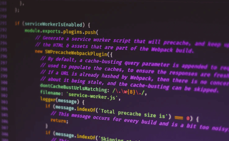 belajar web developer