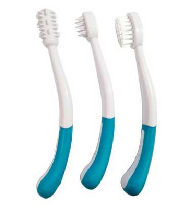 Sikat gigi bayi - Little Giant toothbrush