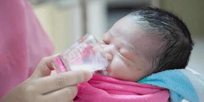 harga cup feeder bayi