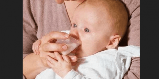 cup feeder untuk bayi