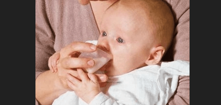 cup feeder untuk bayi