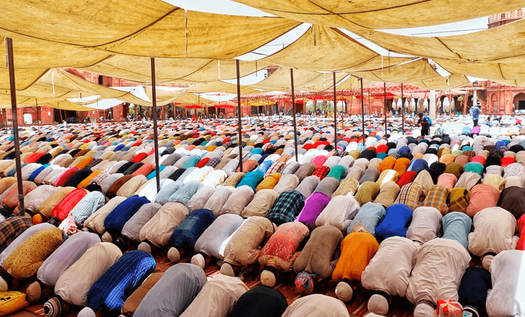 proposal kegiatan qurban dan hari raya idul adha