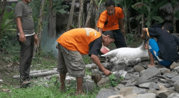 contoh laporan kegiatan idul adha