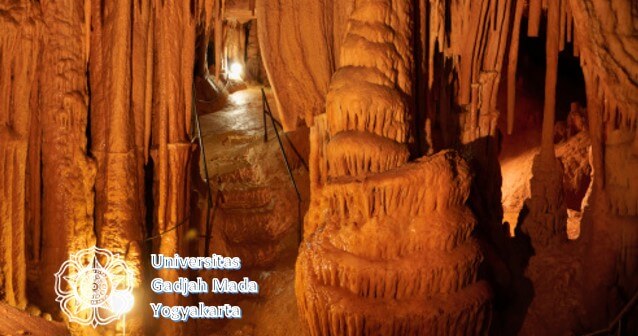 jurusan di ugm yang sepi peminat