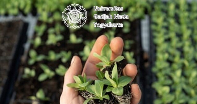 jurusan di ugm yang sepi peminat