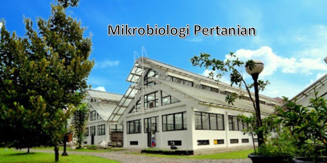 jurusan di ugm yang mudah dimasuki