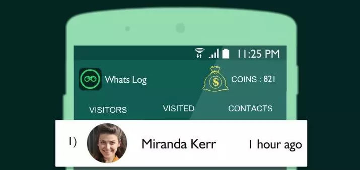 cara melihat story WA yang diprivasi