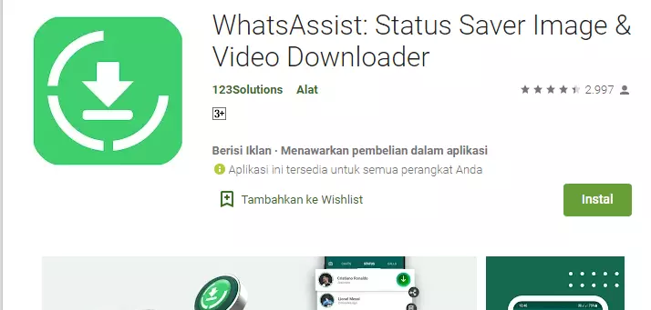 download video story WA