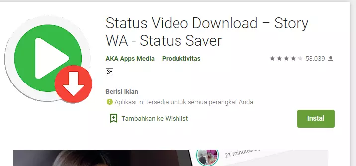 download video story WA