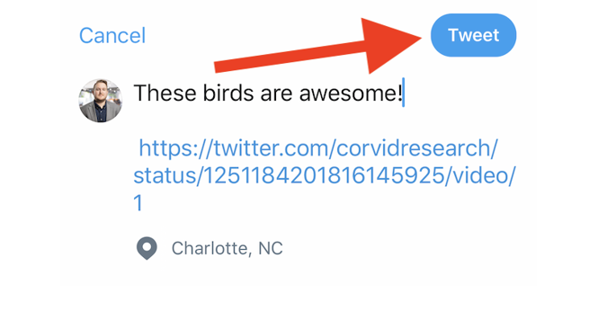 Cara Repost Video di Twitter
