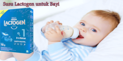 Susu Lactogen untuk Bayi
