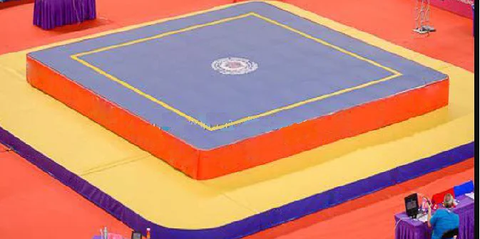 Ukuran lapangan wushu