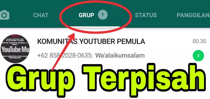 Cara memakai WhatsApp GB