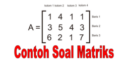 contoh soal matriks