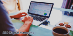SEO Digital Marketing