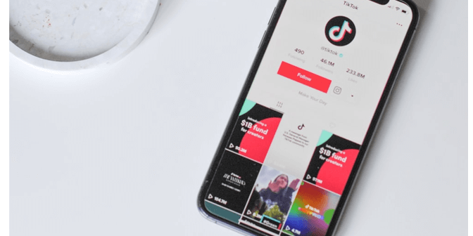 unduh video tiktok tanpa watermark
