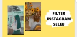 filter Instagram Selebgram