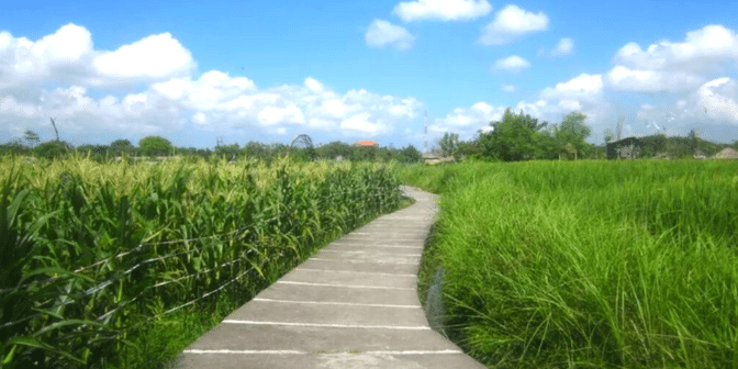 Desa Wisata Bali desa kertalangu