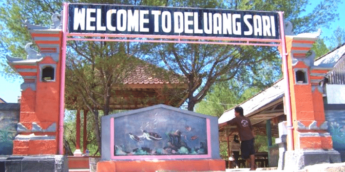 Kebun Binatang di Bali penangkaran penyu