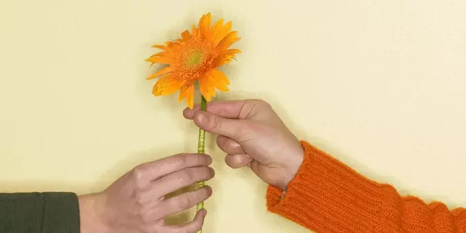 foto untuk profil tema bunga