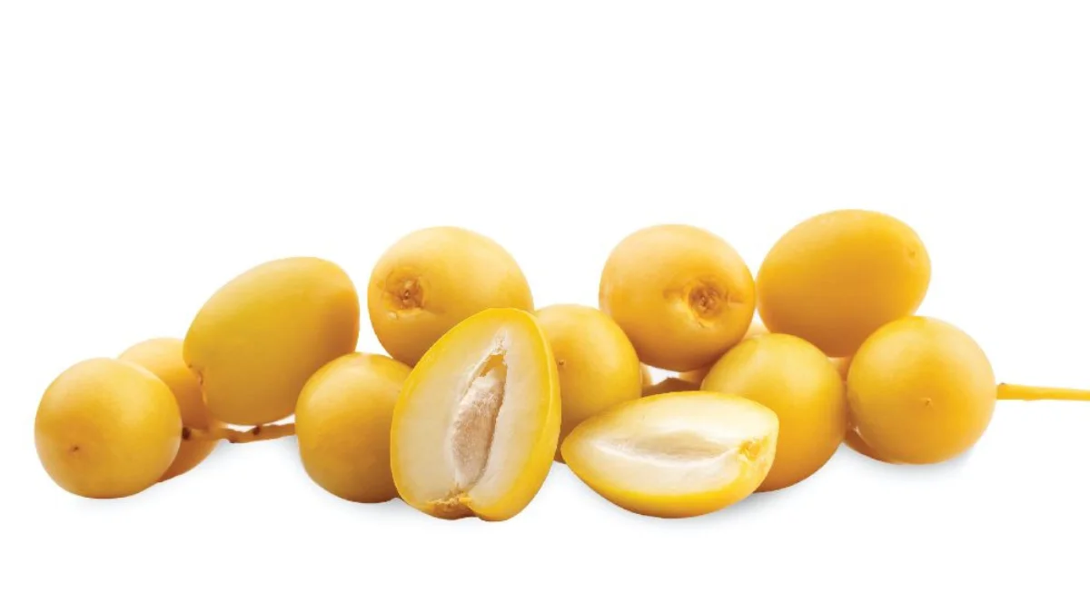 6 Khasiat Kurma Muda untuk Promil, Begini Cara Konsumsinya!