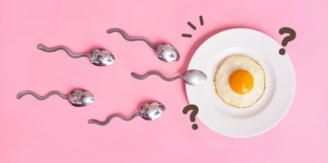 Kurma muda untuk promil