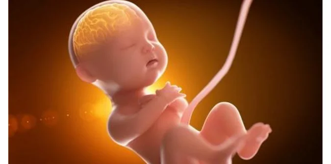 Vitamin ibu hamil untuk kecerdasan otak bayi 