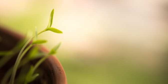 cara memperjelas foto yang blur tanpa aplikasi