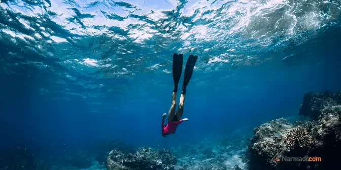 Manfaat kaki katak renang