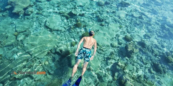 manfaat berenang menggunakan kaki katak