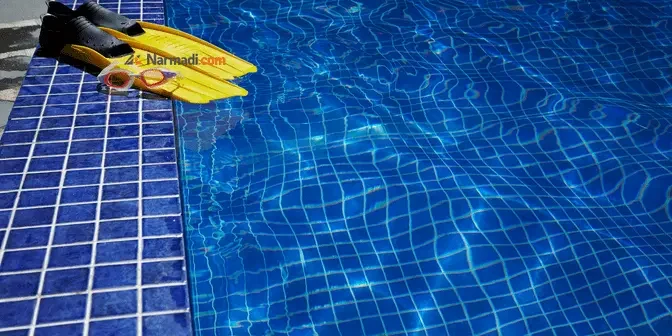 renang dengan kaki katak