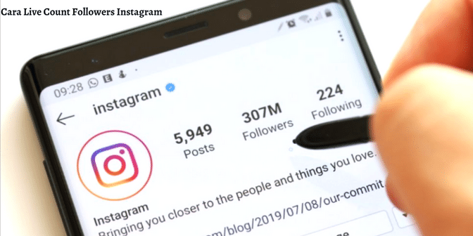 Cara Live Count Followers Instagram