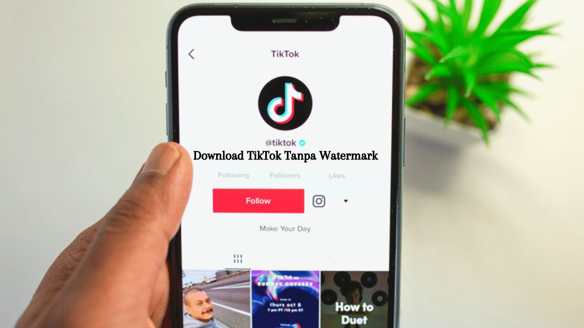 Download TikTok Tanpa Watermark