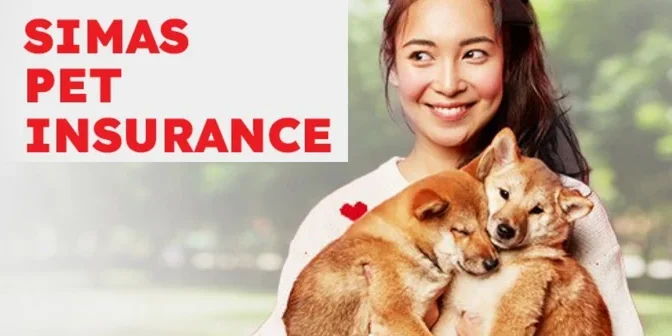 Asuransi hewan peliharaan 