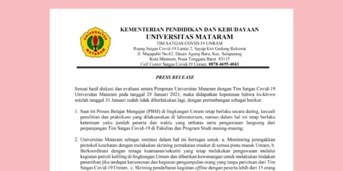Press release adalah