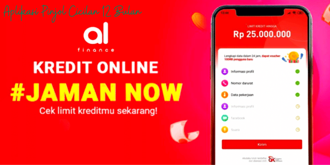 Aplikasi Pinjol Cicilan 12 Bulan