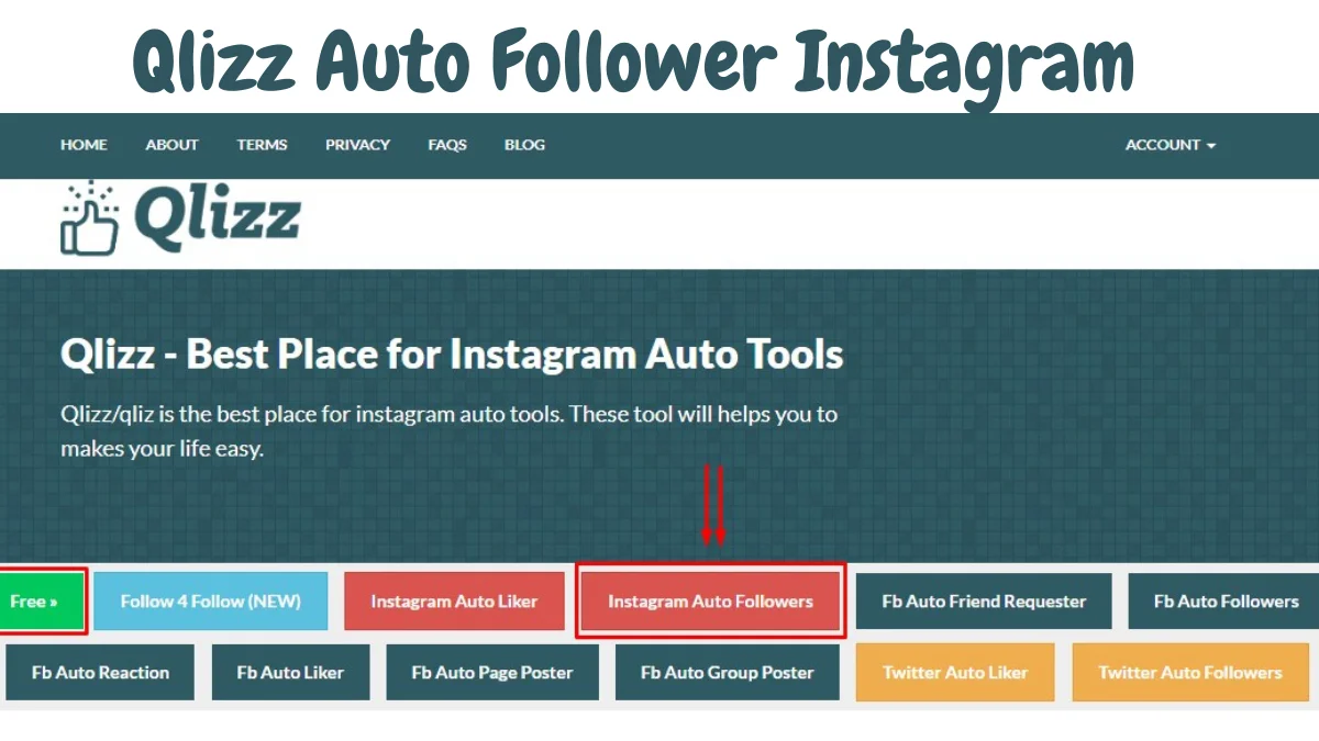 Qlizz Auto Follower Instagram