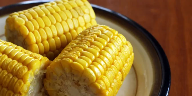 cemilan untuk bayi 8 bulan