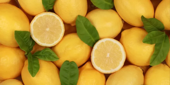 Stretch mark ibu hamil